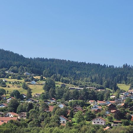Le Tresor Des Vosges Appartement Spacieux Et Lumineux 80M2 - Jeux Arcades - Ideal Famille 4 A 6 Personnes Gérardmer Εξωτερικό φωτογραφία