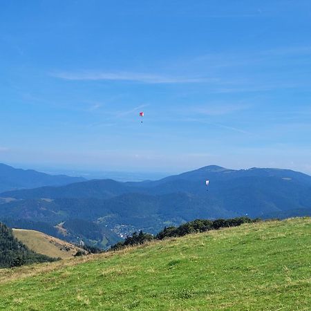 Le Tresor Des Vosges Appartement Spacieux Et Lumineux 80M2 - Jeux Arcades - Ideal Famille 4 A 6 Personnes Gérardmer Εξωτερικό φωτογραφία