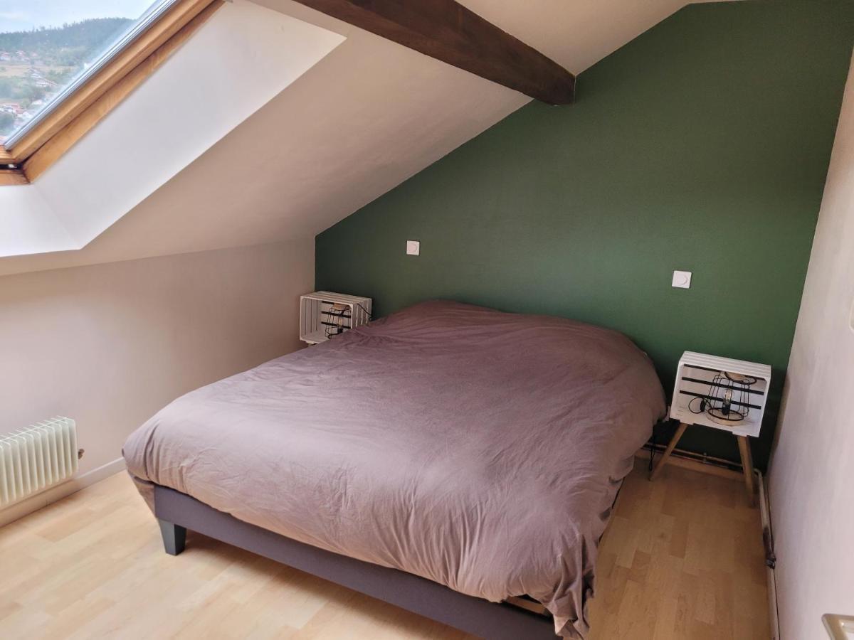 Le Tresor Des Vosges Appartement Spacieux Et Lumineux 80M2 - Jeux Arcades - Ideal Famille 4 A 6 Personnes Gérardmer Εξωτερικό φωτογραφία