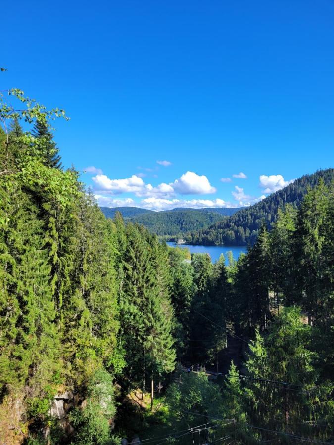 Le Tresor Des Vosges Appartement Spacieux Et Lumineux 80M2 - Jeux Arcades - Ideal Famille 4 A 6 Personnes Gérardmer Εξωτερικό φωτογραφία
