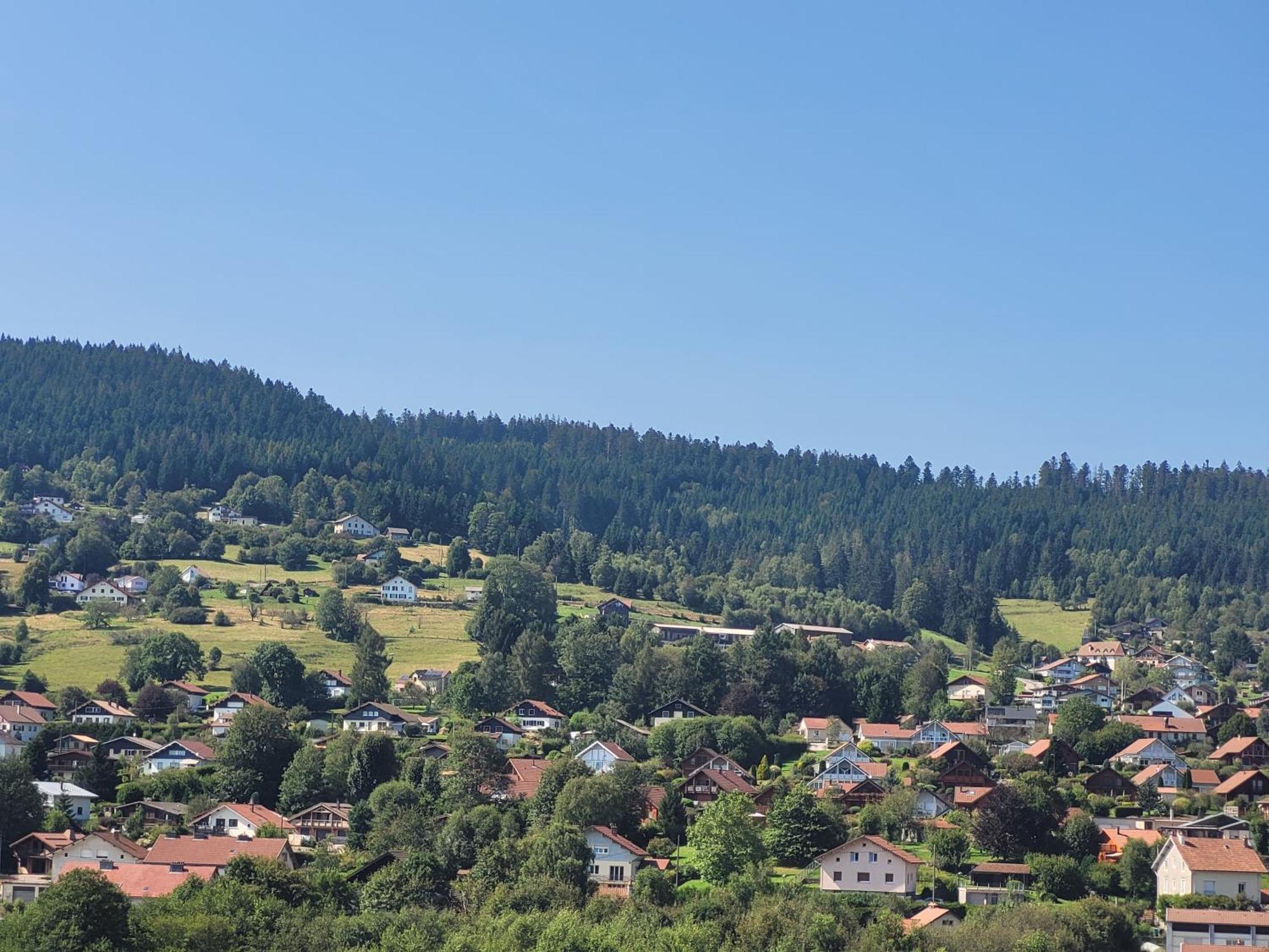 Le Tresor Des Vosges Appartement Spacieux Et Lumineux 80M2 - Jeux Arcades - Ideal Famille 4 A 6 Personnes Gérardmer Εξωτερικό φωτογραφία
